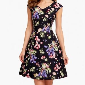 JM Studio By John Meyer Black Multicolor Floral Fit & Flare Dress